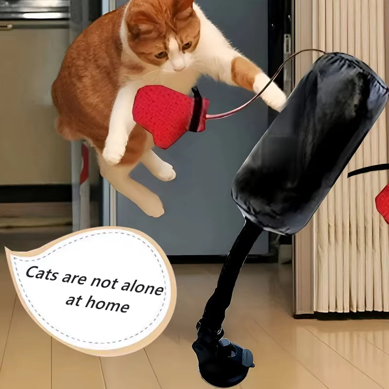 Cat Boxing Toy Interactive Game Punching Bag with Gloves Creativity Mini Gym Stress Relief Home Portable Pet Dog Training Tools