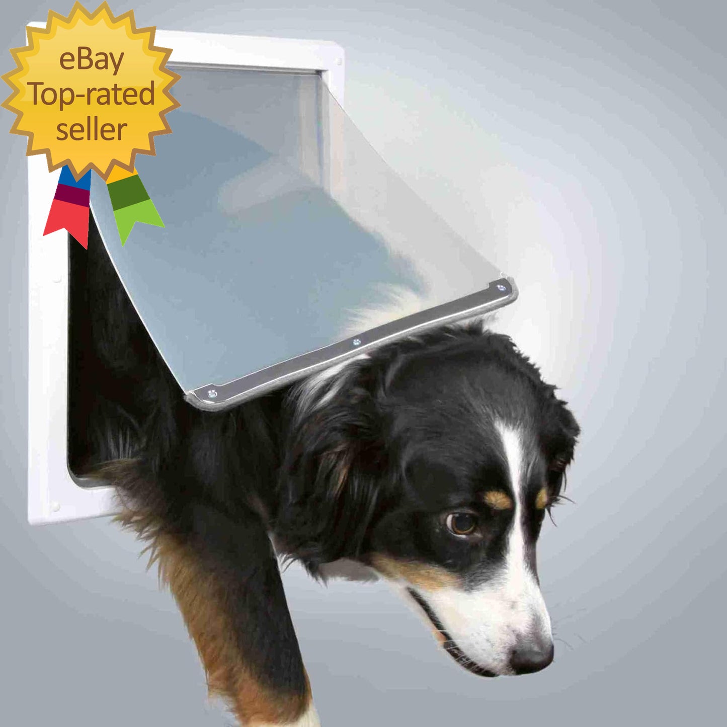 Pet Products 2 Way Locking Dog Door Medium to X Large Dogs White