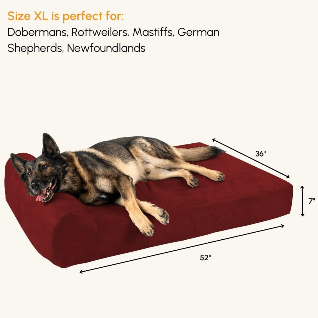 Luxurious 7" Pillow Top Orthopedic Dog Bed for Large Breeds - Extra Large 52" x 36" in Elegant Burgundy - Ultimate Comfort for Your Furry Friend