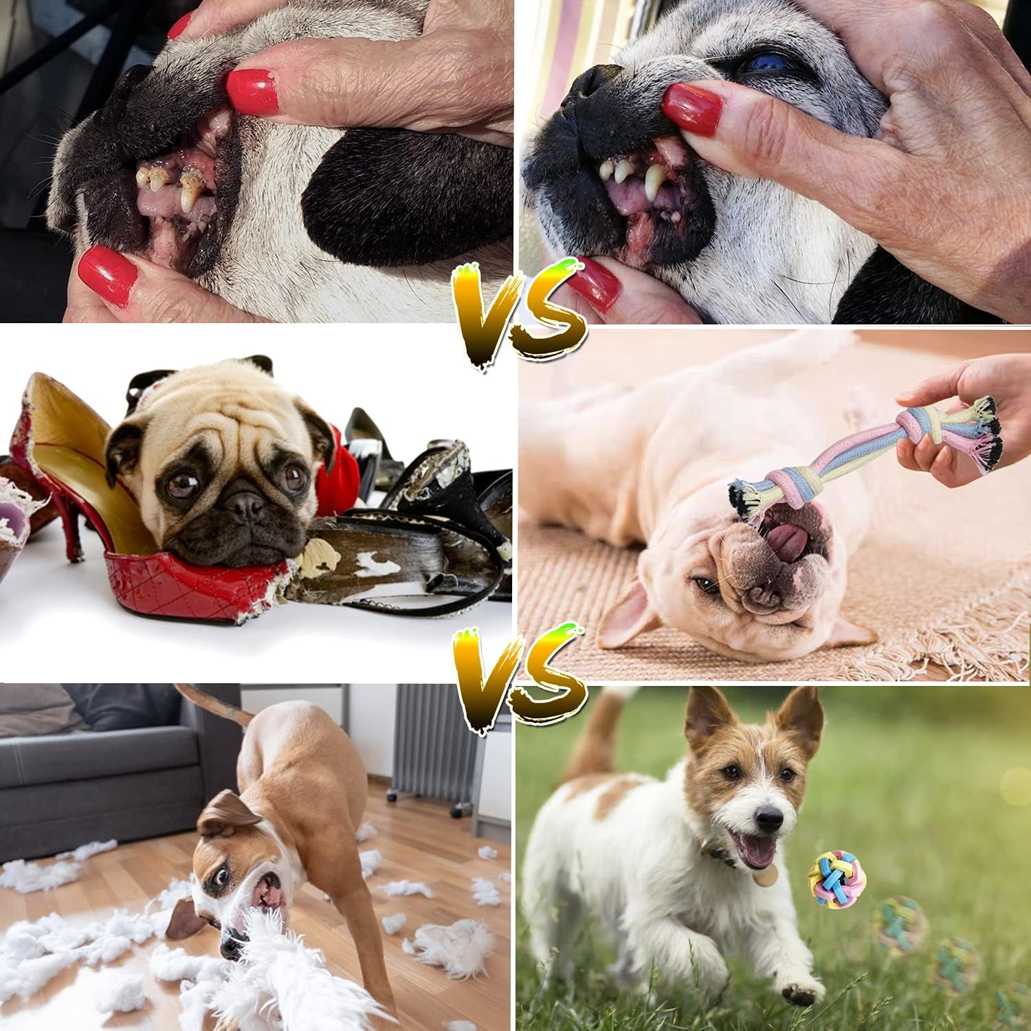 Puppy Chew Toys for Teething Puppy Teeth Cleaning, Interactive Tug Toys & Storage Basket