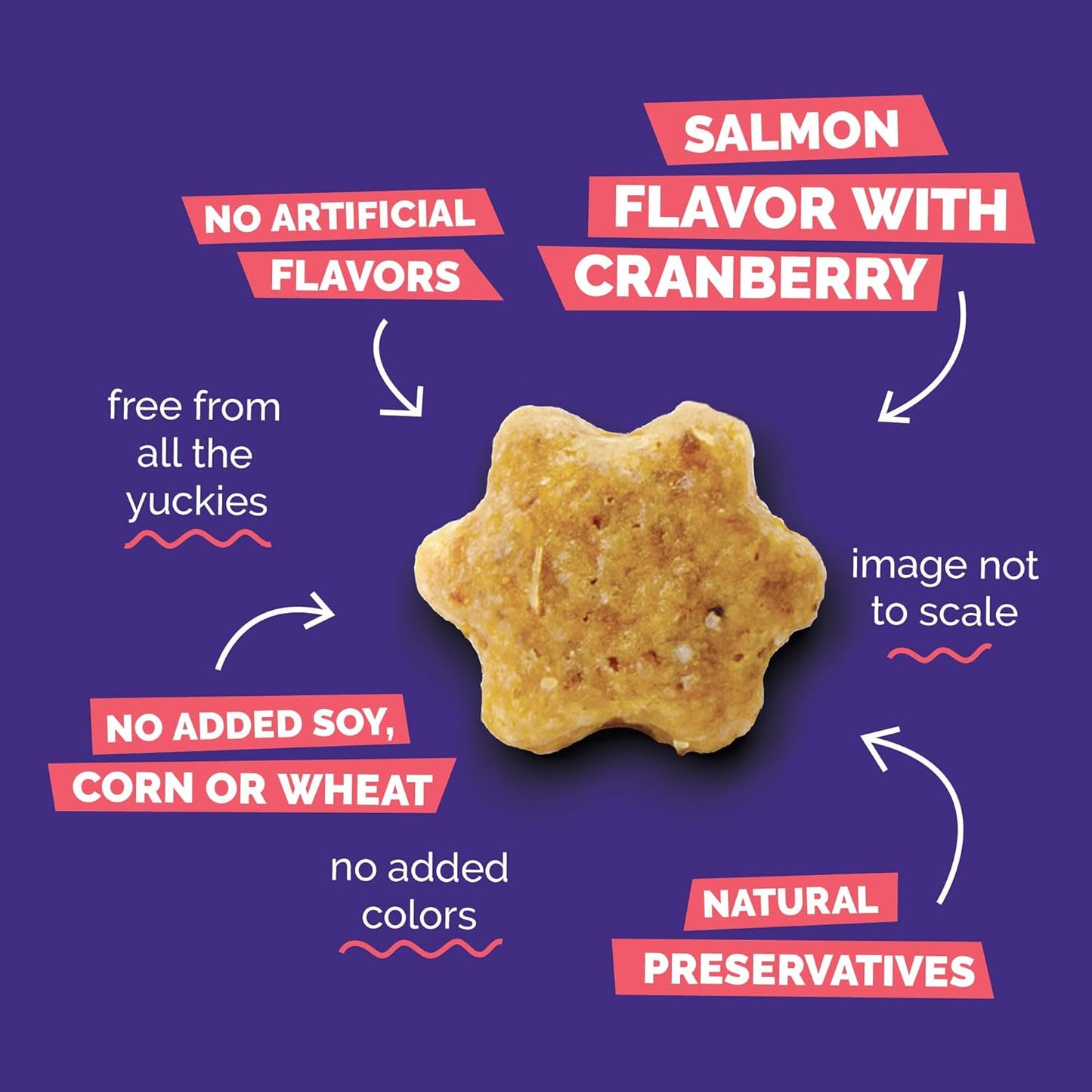 Cat Crunchy Treats for Cats – Healthy Low Calorie Packed with Protein – No Wheat, Corn or Soy – Made with Real Salmon with Cranberry – 2.5 Ounces