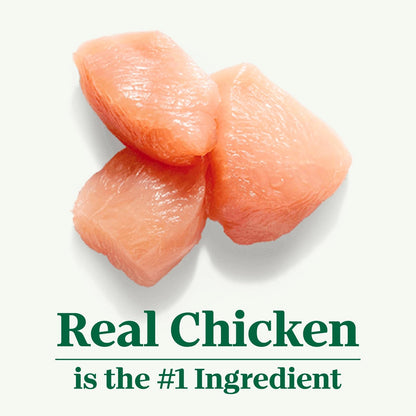 Wholesome Essentials Adult Dry Cat Food, Chicken & Brown Rice Recipe, 5 Lb. Bag