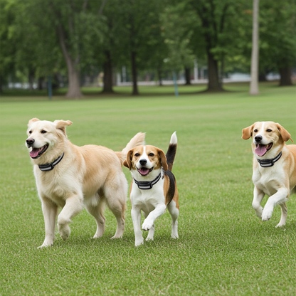 Advanced GPS Wireless Dog Fence System - Ultimate Pet Containment with a 6560Ft Range